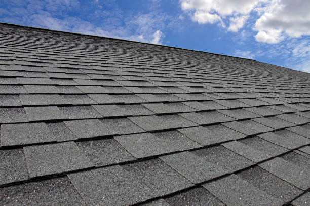 Best Roof Repair  in Sunray, TX